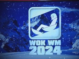 WOK WM - Teamvorstellung